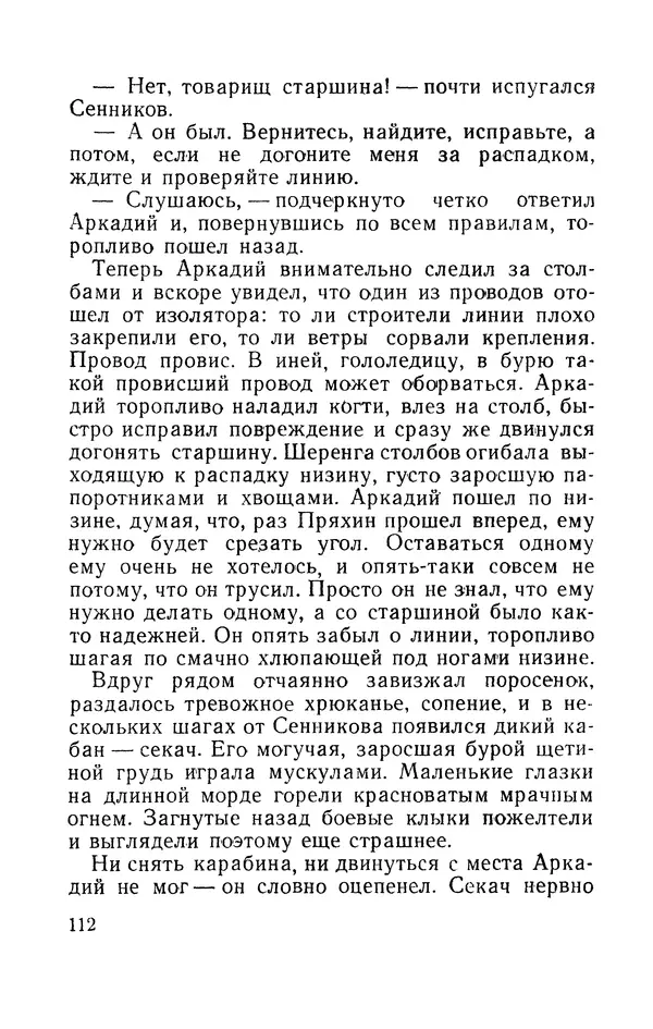 Виталий Мелентьев - Иероглифы Сихотэ-Алиня - Страница № 113