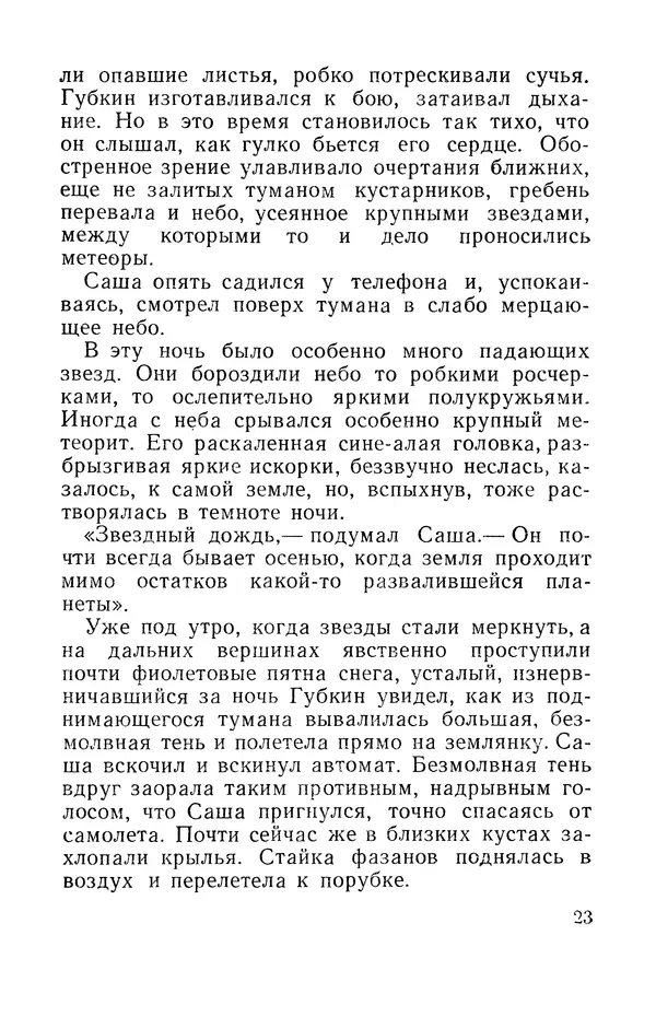Виталий Мелентьев - Иероглифы Сихотэ-Алиня - Страница № 24