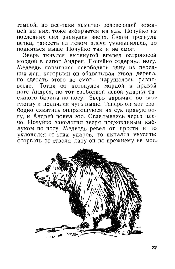 Виталий Мелентьев - Иероглифы Сихотэ-Алиня - Страница № 38