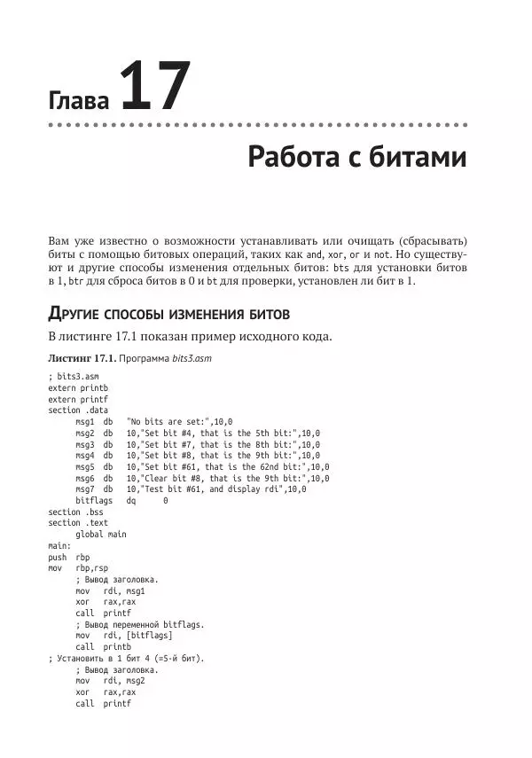 Йо Гуй - Программирование на ассемблере х64. От начального уровня до профессионального использования AVX - Страница № 131