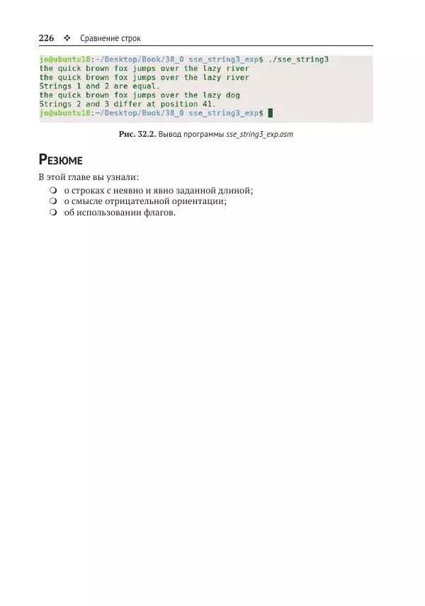 Йо Гуй - Программирование на ассемблере х64. От начального уровня до профессионального использования AVX - Страница № 227
