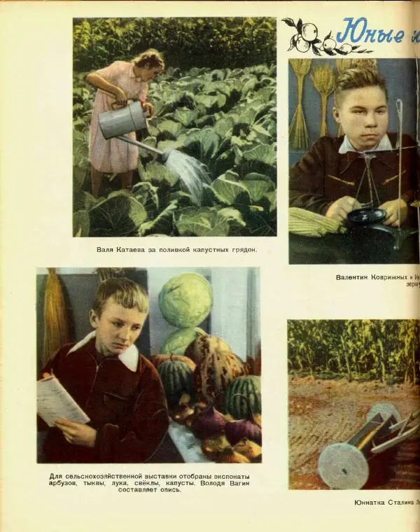  журнал «Семья и школа» - Семья и школа 1956 №04 - Страница № 22