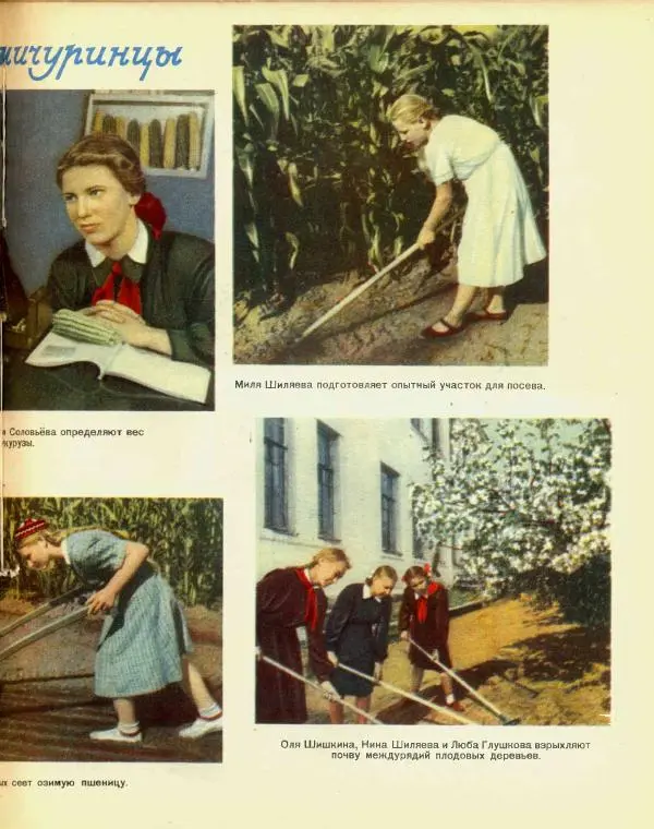  журнал «Семья и школа» - Семья и школа 1956 №04 - Страница № 23