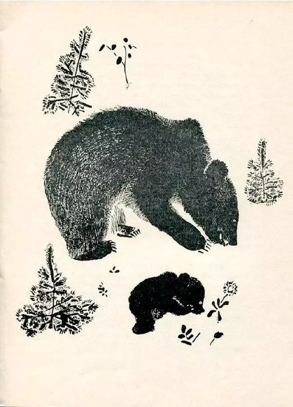 Евгений Чарушин - Мишка - большой медведь - Страница № 11