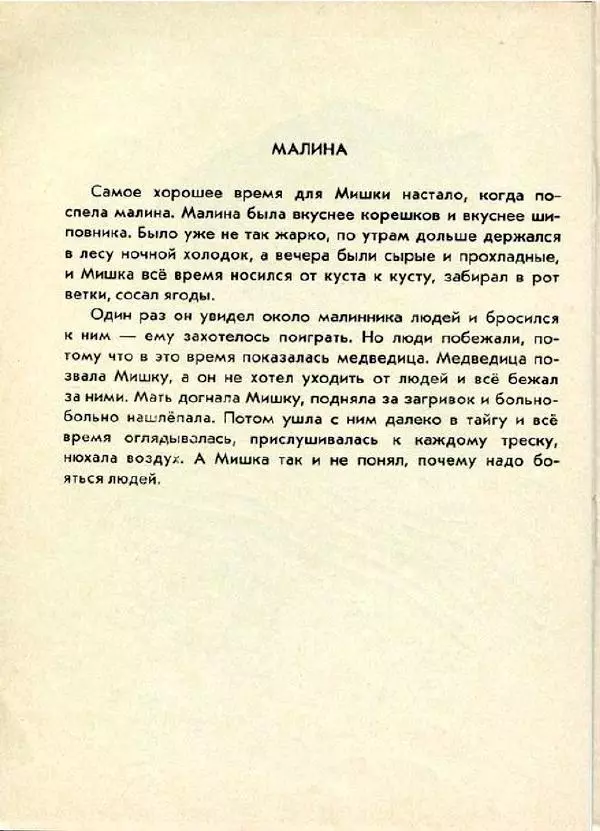 Евгений Чарушин - Мишка - большой медведь - Страница № 16