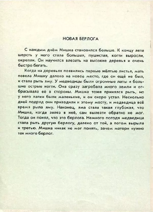 Евгений Чарушин - Мишка - большой медведь - Страница № 18