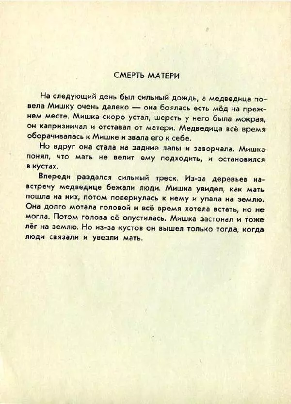Евгений Чарушин - Мишка - большой медведь - Страница № 24