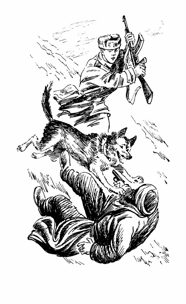 Юрий Коваль - Солдатский секрет - Страница № 52