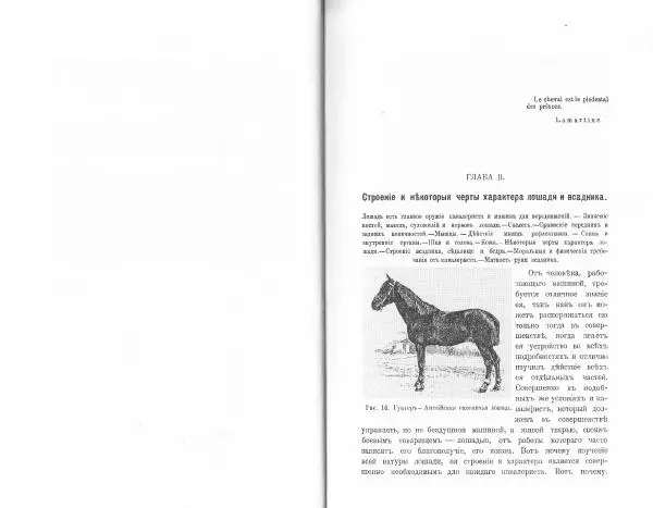 Лев Де-Витт - Конница. Теория верховой езды - Страница № 20