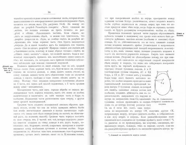 Лев Де-Витт - Конница. Теория верховой езды - Страница № 49