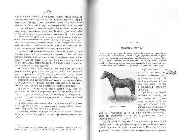 Лев Де-Витт - Конница. Теория верховой езды - Страница № 55