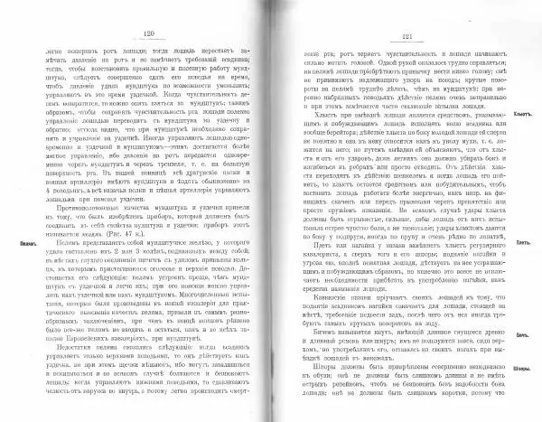 Лев Де-Витт - Конница. Теория верховой езды - Страница № 62