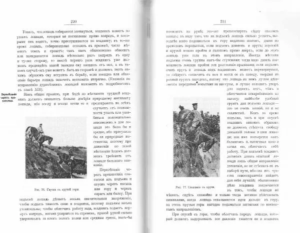 Лев Де-Витт - Конница. Теория верховой езды - Страница № 117