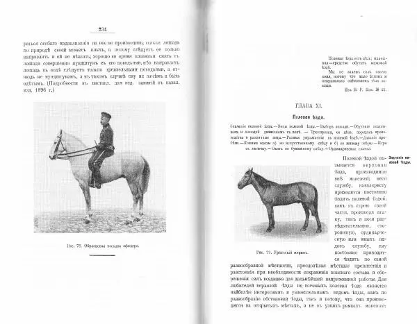 Лев Де-Витт - Конница. Теория верховой езды - Страница № 119