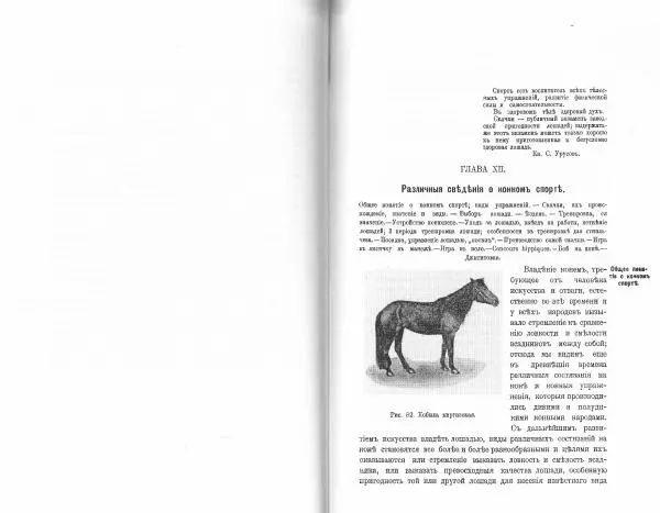 Лев Де-Витт - Конница. Теория верховой езды - Страница № 132