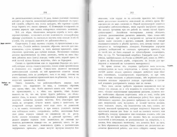 Лев Де-Витт - Конница. Теория верховой езды - Страница № 134