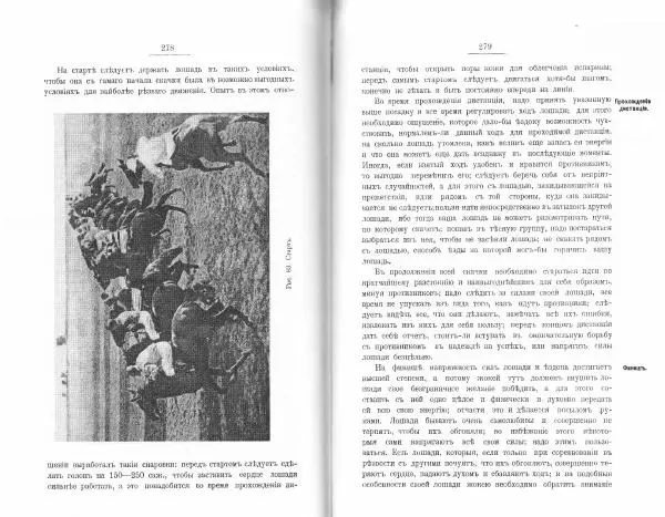 Лев Де-Витт - Конница. Теория верховой езды - Страница № 141