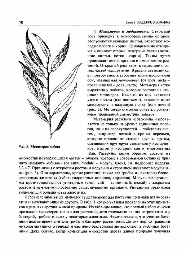  Коллектив авторов - Ботаника с основами фитоценологии. Анатомия и морфология растений - Страница № 11