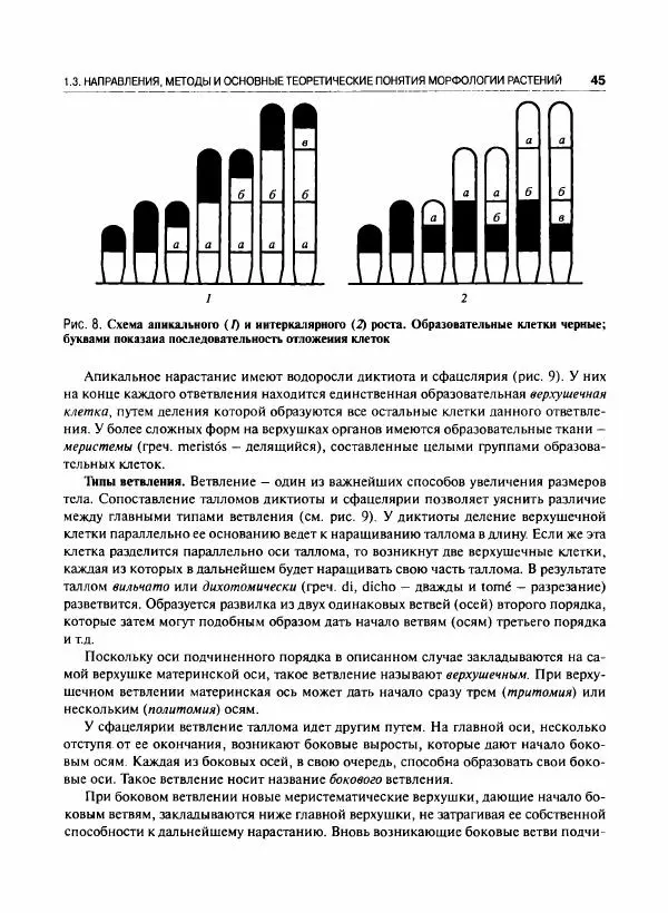 Коллектив авторов - Ботаника с основами фитоценологии. Анатомия и морфология растений - Страница № 46