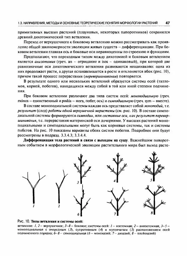  Коллектив авторов - Ботаника с основами фитоценологии. Анатомия и морфология растений - Страница № 48