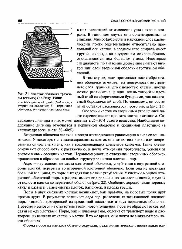  Коллектив авторов - Ботаника с основами фитоценологии. Анатомия и морфология растений - Страница № 69