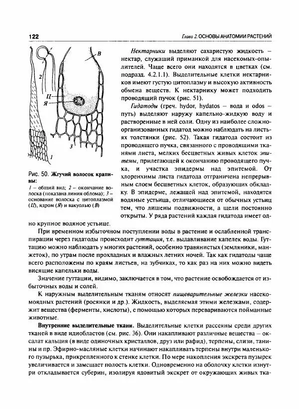  Коллектив авторов - Ботаника с основами фитоценологии. Анатомия и морфология растений - Страница № 123