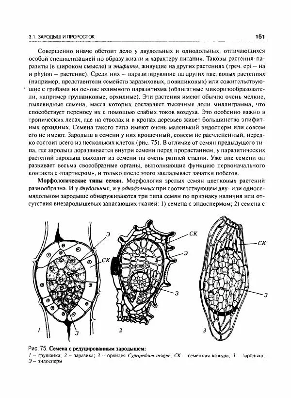  Коллектив авторов - Ботаника с основами фитоценологии. Анатомия и морфология растений - Страница № 152