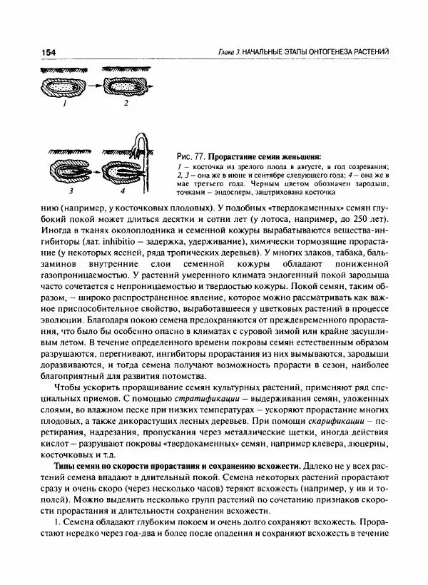  Коллектив авторов - Ботаника с основами фитоценологии. Анатомия и морфология растений - Страница № 155