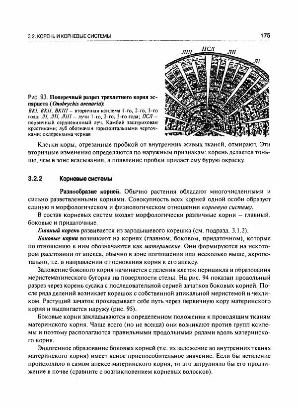 Коллектив авторов - Ботаника с основами фитоценологии. Анатомия и морфология растений - Страница № 176