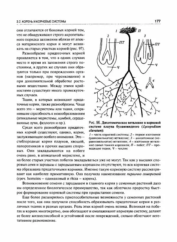  Коллектив авторов - Ботаника с основами фитоценологии. Анатомия и морфология растений - Страница № 178