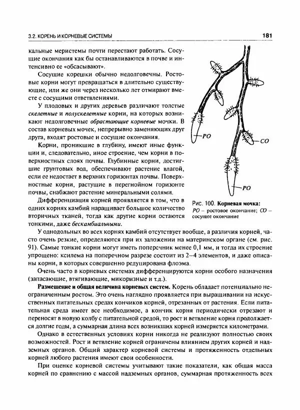  Коллектив авторов - Ботаника с основами фитоценологии. Анатомия и морфология растений - Страница № 182