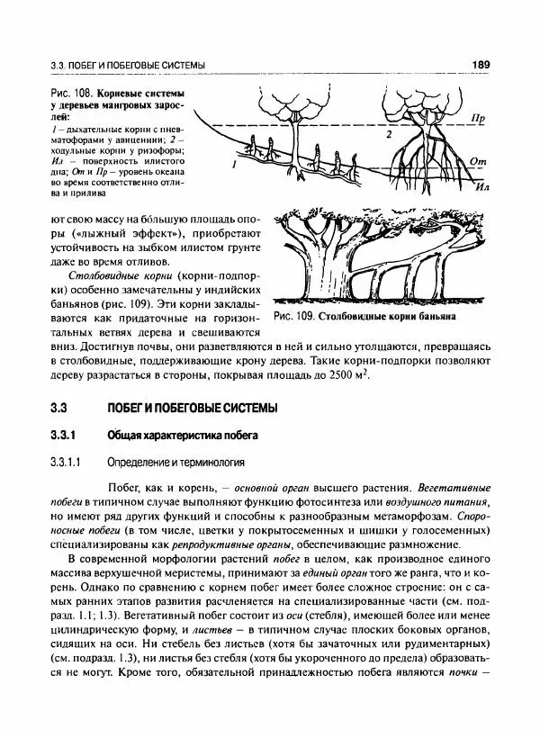  Коллектив авторов - Ботаника с основами фитоценологии. Анатомия и морфология растений - Страница № 190