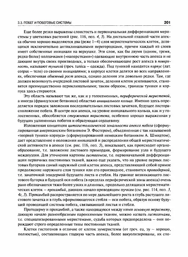  Коллектив авторов - Ботаника с основами фитоценологии. Анатомия и морфология растений - Страница № 202
