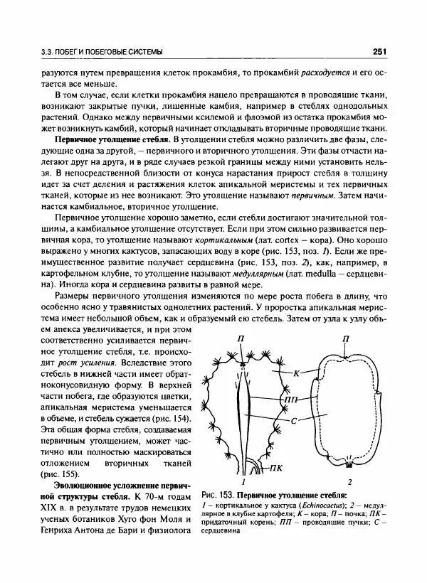  Коллектив авторов - Ботаника с основами фитоценологии. Анатомия и морфология растений - Страница № 252