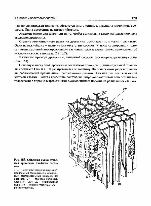  Коллектив авторов - Ботаника с основами фитоценологии. Анатомия и морфология растений - Страница № 264