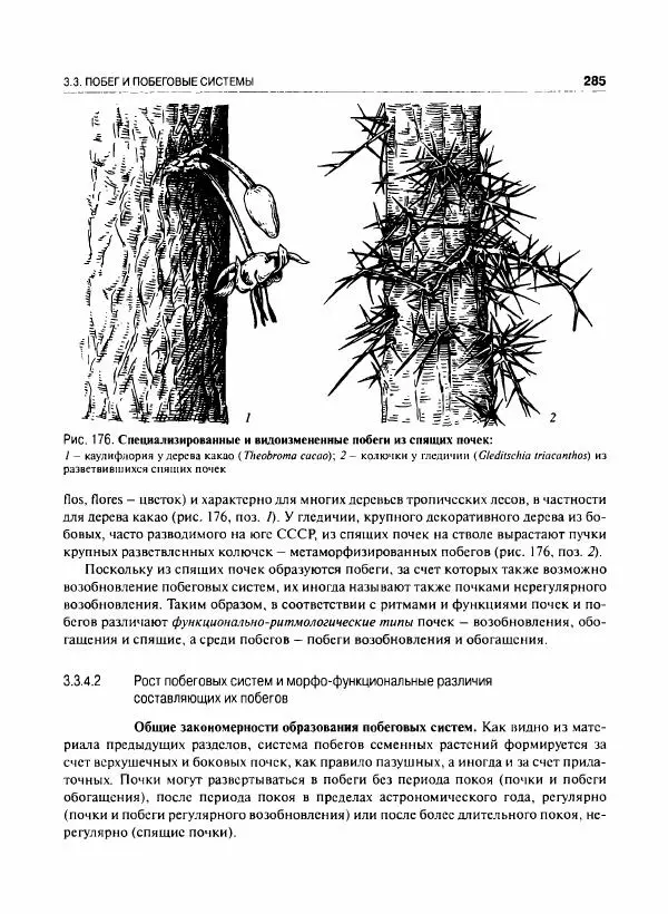  Коллектив авторов - Ботаника с основами фитоценологии. Анатомия и морфология растений - Страница № 286