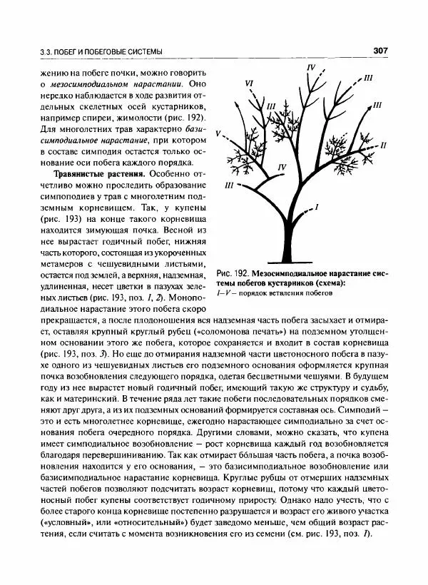  Коллектив авторов - Ботаника с основами фитоценологии. Анатомия и морфология растений - Страница № 308