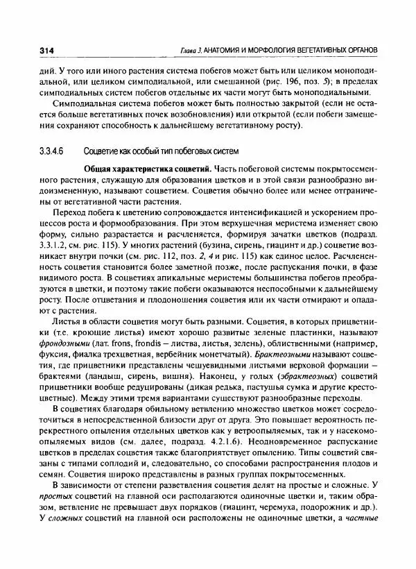  Коллектив авторов - Ботаника с основами фитоценологии. Анатомия и морфология растений - Страница № 315