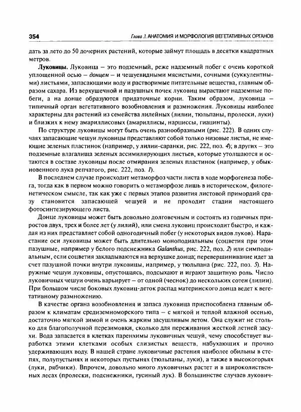  Коллектив авторов - Ботаника с основами фитоценологии. Анатомия и морфология растений - Страница № 355