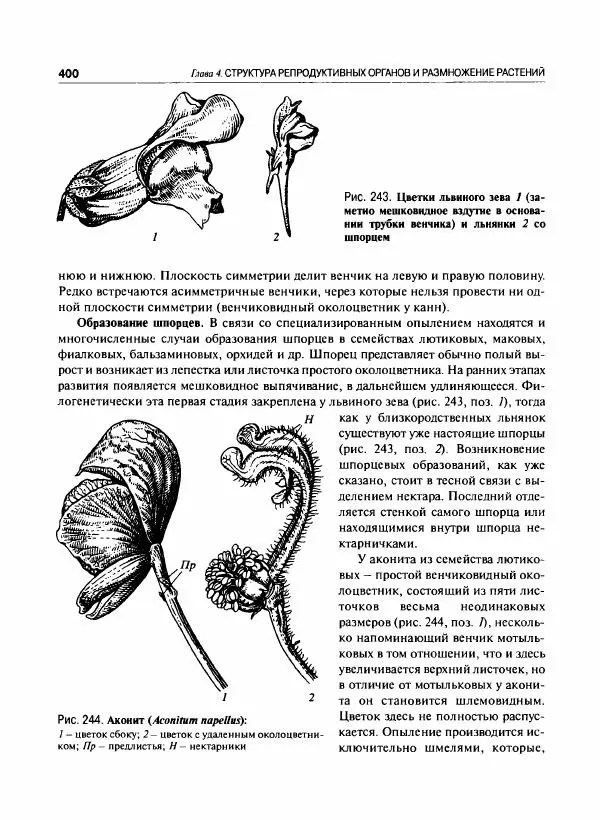  Коллектив авторов - Ботаника с основами фитоценологии. Анатомия и морфология растений - Страница № 401