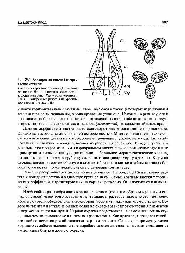  Коллектив авторов - Ботаника с основами фитоценологии. Анатомия и морфология растений - Страница № 408