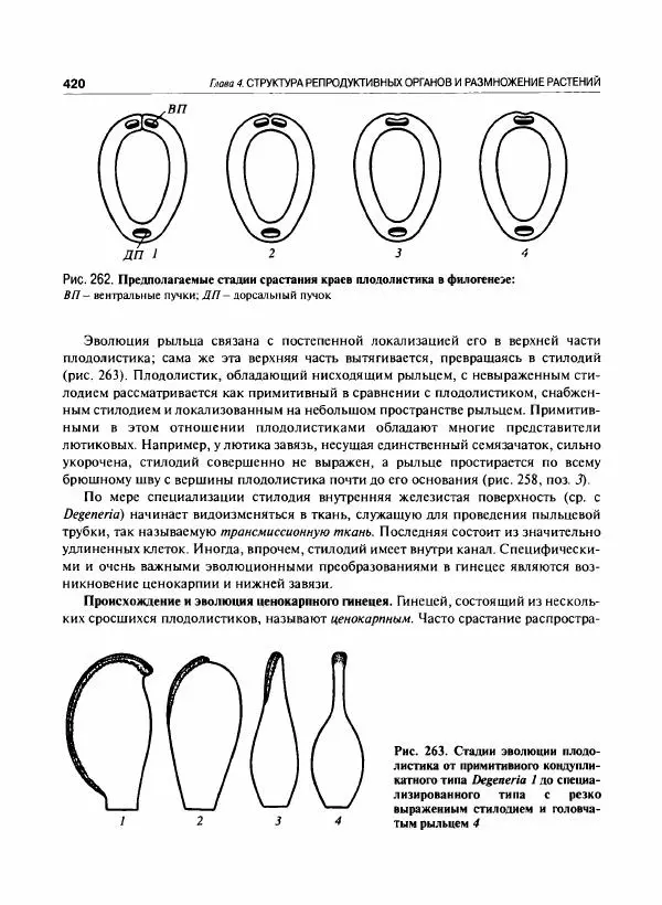  Коллектив авторов - Ботаника с основами фитоценологии. Анатомия и морфология растений - Страница № 421