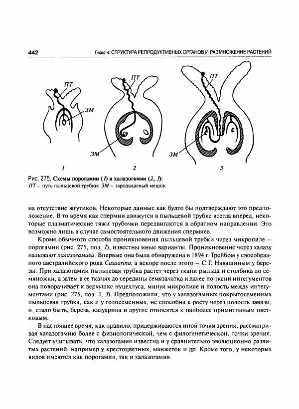  Коллектив авторов - Ботаника с основами фитоценологии. Анатомия и морфология растений - Страница № 443