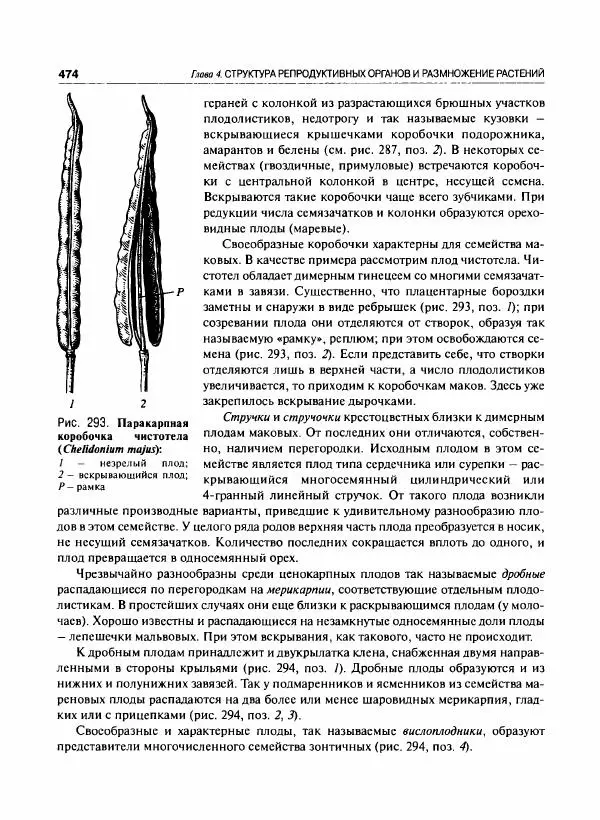  Коллектив авторов - Ботаника с основами фитоценологии. Анатомия и морфология растений - Страница № 475