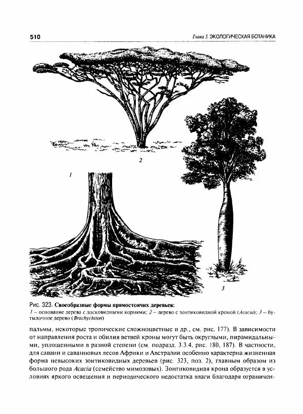  Коллектив авторов - Ботаника с основами фитоценологии. Анатомия и морфология растений - Страница № 511