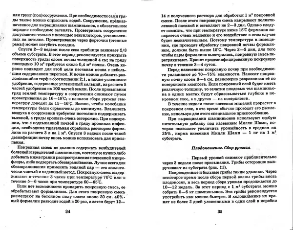 О. Щеголев - Выращивание грибов в домашних условиях - Страница № 18 О. Щеголев - Выращивание грибов в домашних условиях - Страница № 18