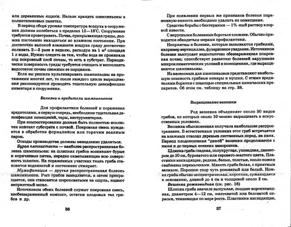 О. Щеголев - Выращивание грибов в домашних условиях - Страница № 19 О. Щеголев - Выращивание грибов в домашних условиях - Страница № 19