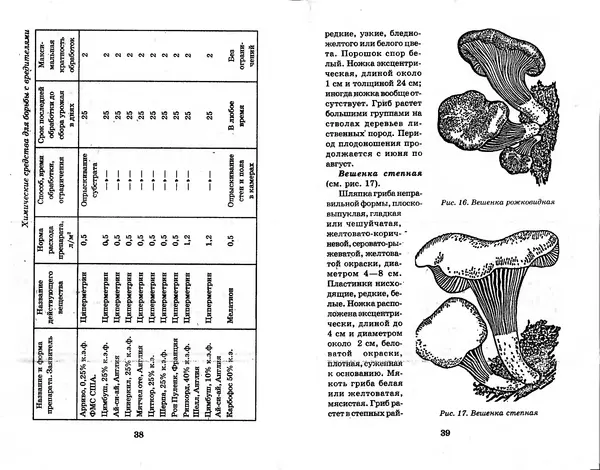О. Щеголев - Выращивание грибов в домашних условиях - Страница № 20 О. Щеголев - Выращивание грибов в домашних условиях - Страница № 20