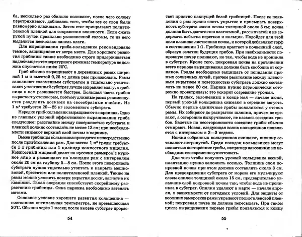 О. Щеголев - Выращивание грибов в домашних условиях - Страница № 28 О. Щеголев - Выращивание грибов в домашних условиях - Страница № 28