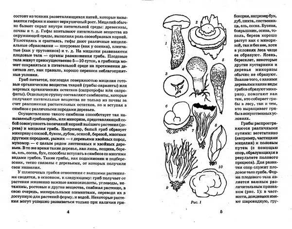 О. Щеголев - Выращивание грибов в домашних условиях - Страница № 3 О. Щеголев - Выращивание грибов в домашних условиях - Страница № 3